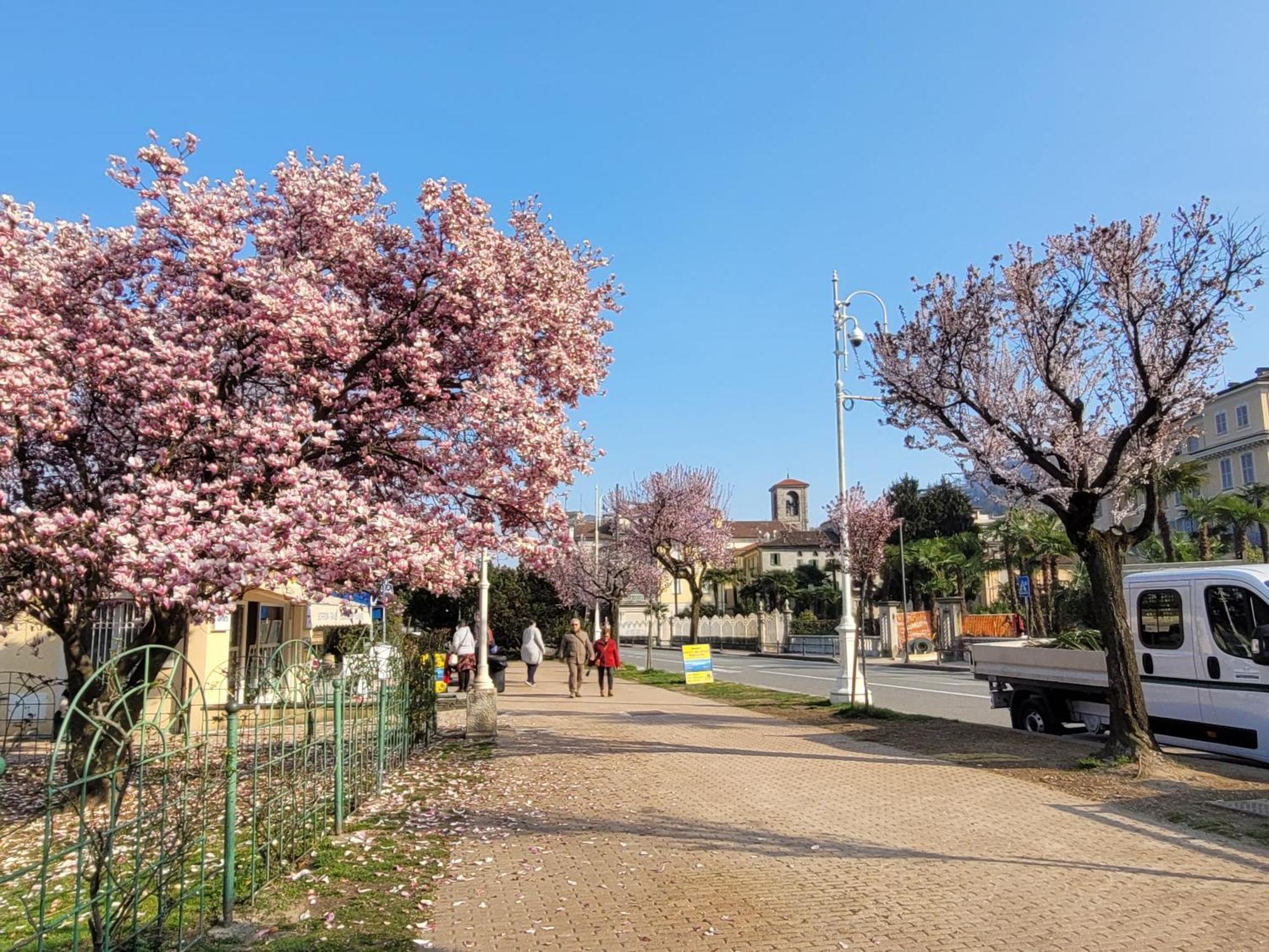 Al Dolce Vita ستريزا المظهر الخارجي الصورة